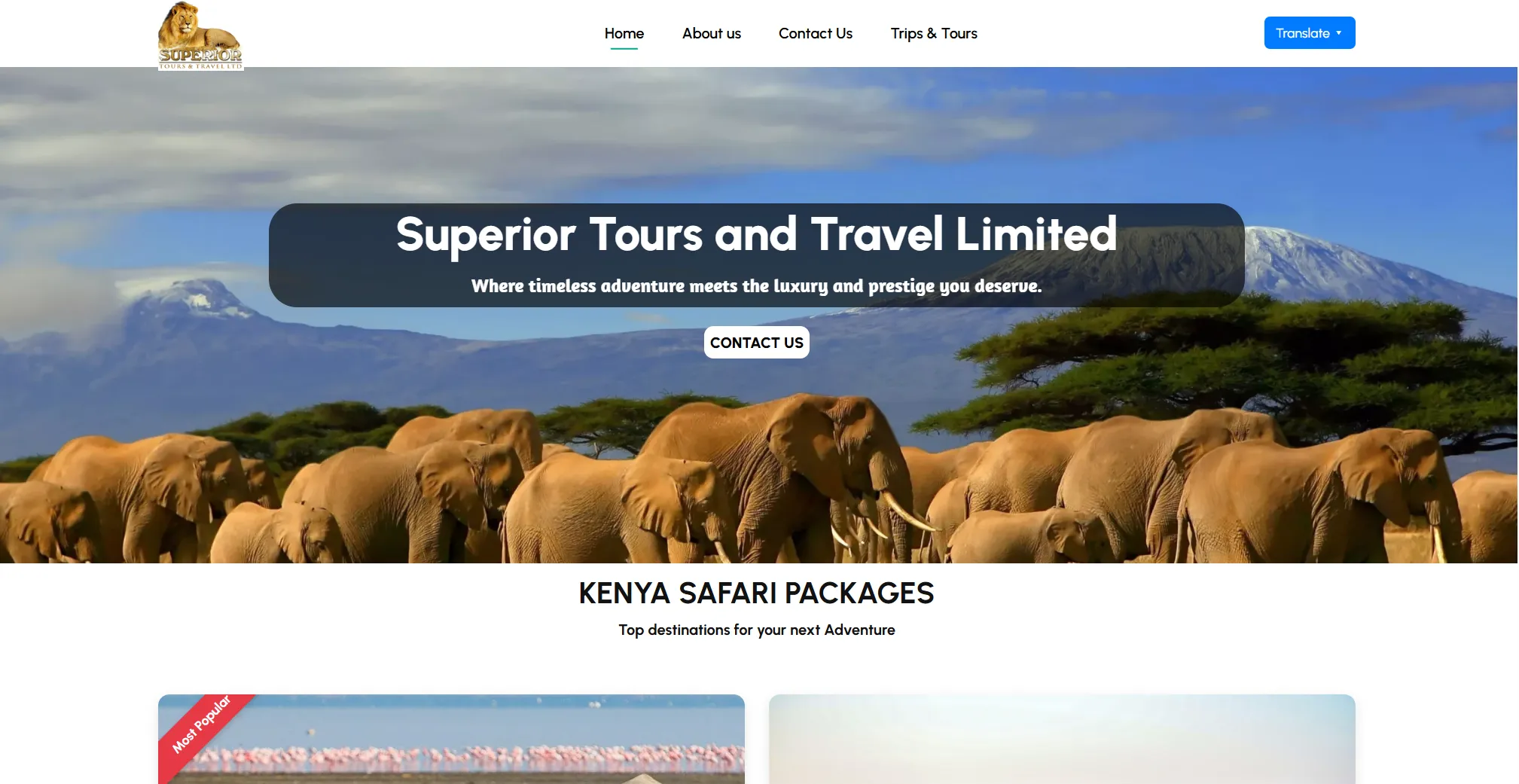 Superior Tours & Travel